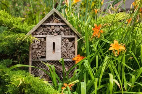Ett insektshotell i trä, fyllt med träbitar och bamburör, står i en lummig trädgård bland gröna blad och orange liljor. En perfekt insektshotell placering för att locka pollinerare.