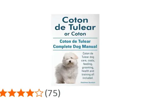 Adorable coton de tulear blanco posa para el manual completo de esta raza.