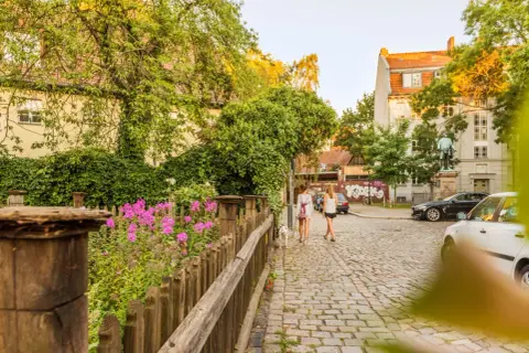 Zwei Frauen spazieren mit Hund über Kopfsteinpflaster in Rixdorf, Berlin. Bunte Blumen und üppiges Grün säumen den Weg.