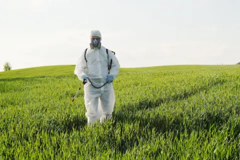 Rolnik w kombinezonie ochronnym i masce przeprowadza fumigację na zielonym polu.