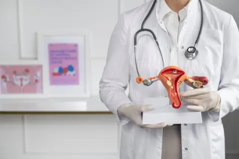 Lekarz prezentuje model narządów rodnych, omawiając grubość endometrium normy.