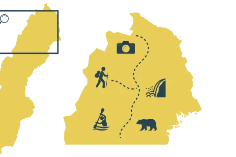Eine Schweden Route mit dem Auto: Wandern, Kanufahren, Wasserfall und Bären beobachten.