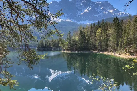 Spiegelglatter See mit Bergpanorama in den bayerischen Alpen. Nadelbäume säumen das Ufer, im Hintergrund ragen schneebedeckte Gipfel auf.