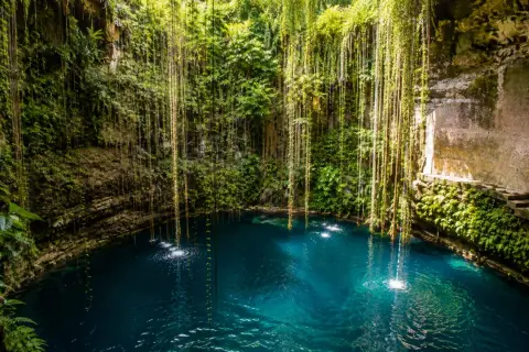 El **cenote Ik Kil** es un oasis natural con aguas turquesas rodeado de vegetación exuberante y lianas colgantes.