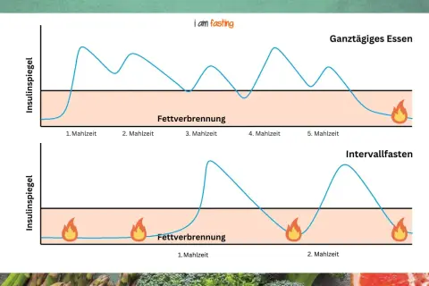 Grafik zeigt Insulinspiegel bei ganztägigem Essen vs. Intervallfasten. Längere Phasen ohne Essen fördern die Fettverbrennung.