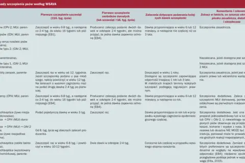 Tabela zasad szczepień psów. Wymieniono szczepionki, terminy pierwszych szczepień szczeniąt i dorosłych, dawki przypominające oraz komentarze, np. o szczepionce **Versican Plus**.