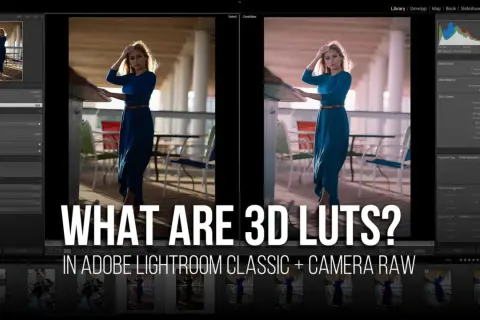 Comparaison avant/après d'une photo dans Lightroom, montrant l'effet d'un lut photoshop.