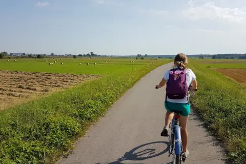 Trasa rowerowa Niepołomice: najlepsze szlaki dla każdego rowerzysty