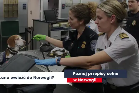 Co można przewieźć w bagażu podręcznym do Norwegii? Ważne zasady
