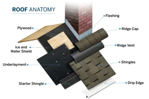 Diagram showing roof anatomy, detailing layers like plywood, underlayment, and what is a shingle roof, with labels for flashing, ridge cap, and drip edge.
