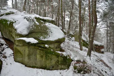 Rezerwat przyrody w Polsce opis – tajemnice i unikalne cechy natury