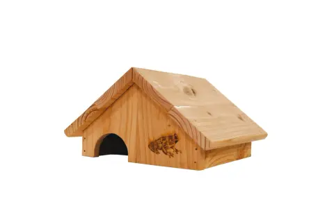 Maisonnette en bois pour fabriquer un abri pour grenouilles. Une gravure de grenouille décore la façade.