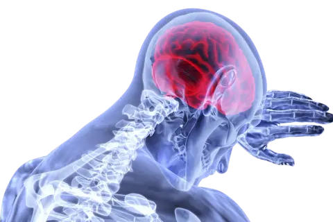 Nietolerancja glutenu a mózg: Neurologiczne objawy, których nie znasz?