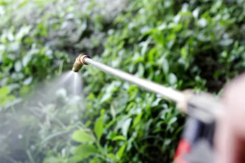 Opryskiwacz z płynem, być może do ochrony roślin przed szkodnikami, w tle zielone liście. Sercadis.