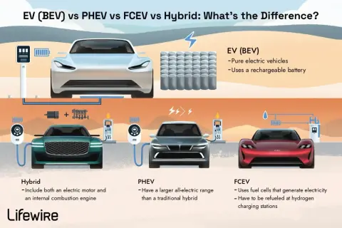 Bilden visar skillnaden mellan elbil (BEV), laddhybrid (PHEV) och bränslecellsbil (FCEV). Vad betyder ev. i detta sammanhang?