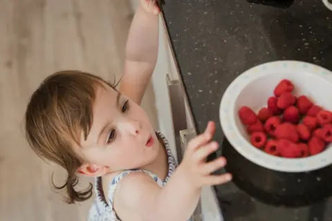 Ein neugieriges Baby entdeckt eine Schüssel voller Himbeeren.