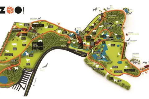 Mapa zoo w Gdańsku z zaznaczonymi zwierzętami: lwy, tygrysy, wielbłądy, pandy, żyrafy, zebry, słonie, ptaki wodne, małpy i inne.