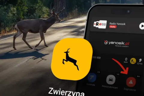 Jak ustawić Yanosika w tle? Aplikacja ostrzega przed zwierzętami na drodze. Ikona ostrzeżenia "Zagrożenie" jest widoczna.