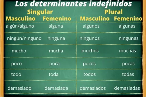 Tabla de tipos de determinantes indefinidos en español, mostrando singular y plural, masculino y femenino: algún, ninguno, mucho, poco, todo, demasiado.