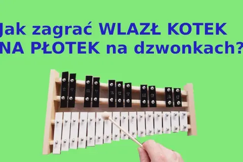 Jak zagrać wlazł kotek na płotek na cymbałkach krok po kroku