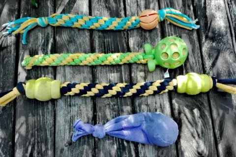 Jak zrobić szarpak dla psa? DIY krok po kroku i zasady bezpieczeństwa.