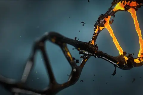 Czy po kremacji można ustalić DNA? Oto trudne wyzwania i możliwości