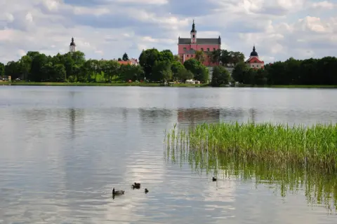 Malownicze jezioro z kaczkami i zabytkowymi budynkami w tle. Idealne miejsce na romantyczny wypad, odkryj suwałki atrakcje dla dwojga.