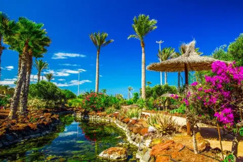 Ile trwa lot na Lanzarote z Katowic? Sprawdź czas przelotu!