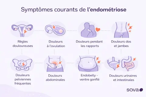 Symptômes courants de l'endométriose : règles douloureuses, douleurs à l'ovulation, douleurs pendant les rapports, douleurs dos et jambes, douleurs pelviennes, douleurs abdominales, endobelly, douleurs urinaires et intestinales.