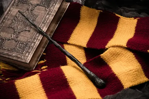 Magiczna różdżka i szalik w barwach Gryffindoru, idealne dla fanów szukających książek podobnych do Harrego Pottera.
