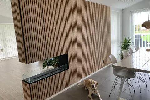 Vacker vägg med akustikpanel inspiration, en modern eldstad och en hund som vilar vid matbordet.