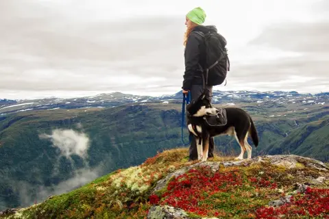 Mujer con mochila y perro con alforjas en un paisaje montañoso, disfrutando de su camino de Santiago con perros.