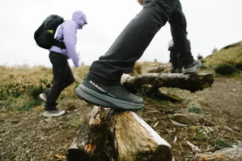 Wybierasz jakie buty w góry latem? Te z membraną Gore-Tex zapewnią komfort i suchość podczas wędrówki po kamieniach i pniach.