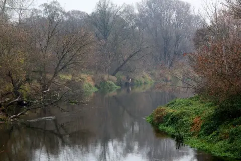 Spokojny nurt prawego dopływu Bzury otoczony jesiennym lasem. Woda odbija nagie drzewa i mglisty krajobraz.