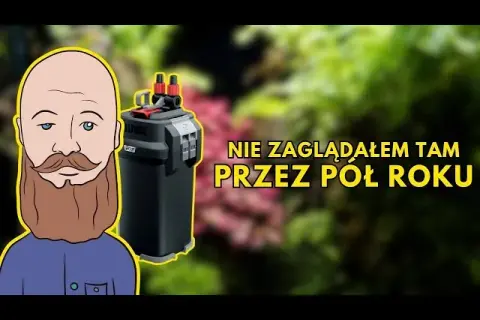Jak czyścić filtr gąbkowy w akwarium, aby nie zabić pożytecznych bakterii