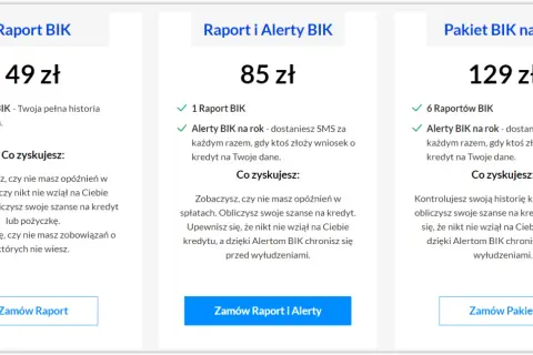 Pobierz raport BIK krok po kroku: Darmowy czy płatny?