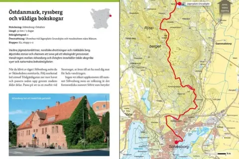 Vandra Skåneleden genom bokskogar och längs kusten. Upptäck Sölvesborgs medeltida charm och njut av naturen.