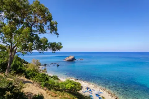 Piękna plaża w Pafos, Grecja, z turkusową wodą, skalistą wysepką i drzewem oliwnym.