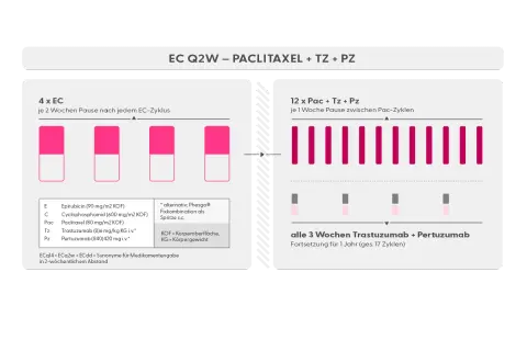 Schema für adjuvante Therapie bei Brustkrebs: 4x EC, dann 12x Paclitaxel mit Trastuzumab/Pertuzumab.