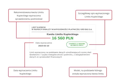 Wartości niematerialne i prawne od jakiej kwoty? Sprawdź limity!