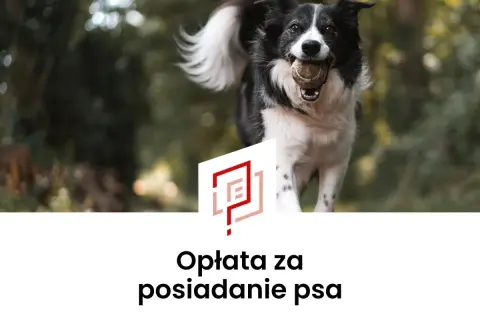 Radosny piesek z piłeczką w pysku. Tekst informuje o opłacie za posiadanie psa, czyli o podatku od psa.