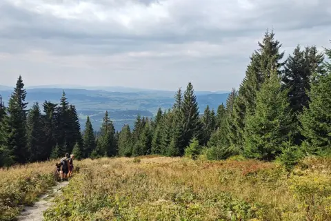 Babia Góra z psem? Zakaz w Polsce, ale jest rozwiązanie!