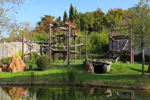 Gorilla in un'area giochi in legno, parte dello zoo più grande d'Italia. Riflessi sull'acqua.