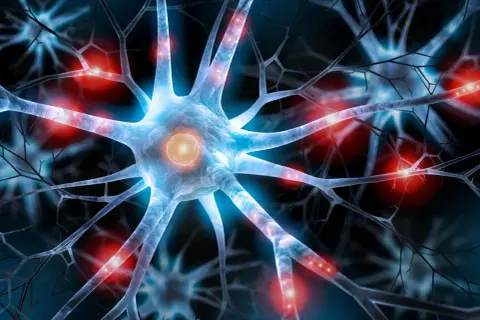Nervceller med glödande kopplingar, som symboliserar hur serotonin kan påverka hjärnan och ge biverkningar.