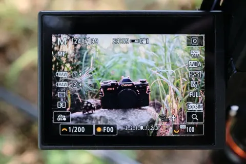 Ekran aparatu z widokiem na czarny Canon AE-1. Widać ustawienia, w tym MF i wskaźnik focus peaking.