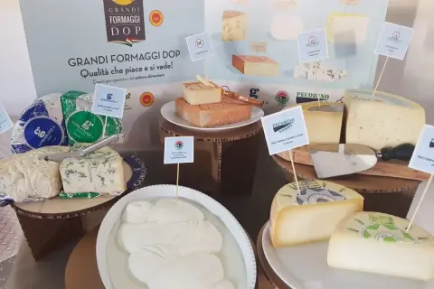 Varietà di formaggi DOP, tra cui Gorgonzola, Asiago, Pecorino Sardo e Mozzarella di Bufala Campana, presentati in un'esposizione dedicata ai grandi formaggi DOP.