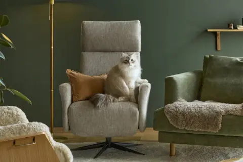 En fluffig katt sitter i en grå fåtölj. Bredvid står en grön soffa med fårskinn. En fåtölj i ek syns till vänster.