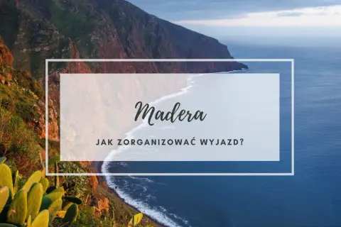 Majestatyczne klify i ocean na wyspie Madera. Planujesz wyjazd?