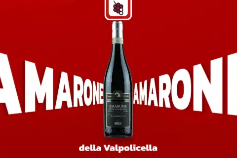 Butelka Amarone della Valpolicella na tle napisu "AMARONE".