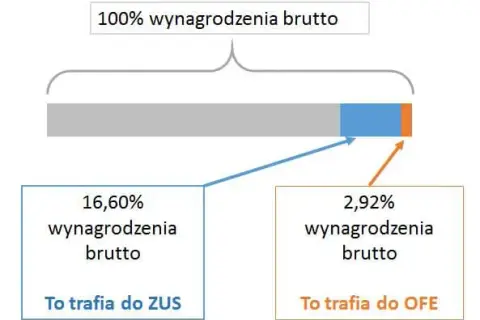 OFE czy ZUS? Decyzja o emeryturze: wybierz mądrze i świadomie